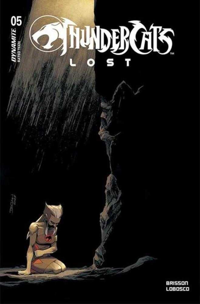 Comic book cover of 'ThunderCats Lost' with a character kneeling and another figure standing in a dark setting.