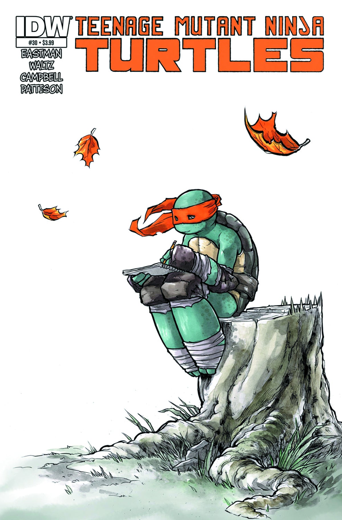 Teenage Mutant Ninja Turtles #30 (2011)