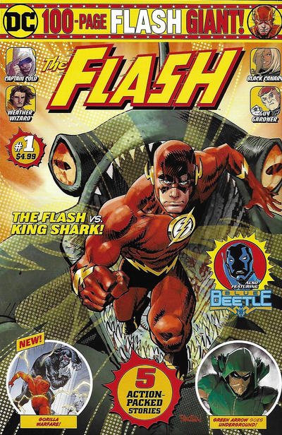 Flash 100 Page Giant #1 (2019)