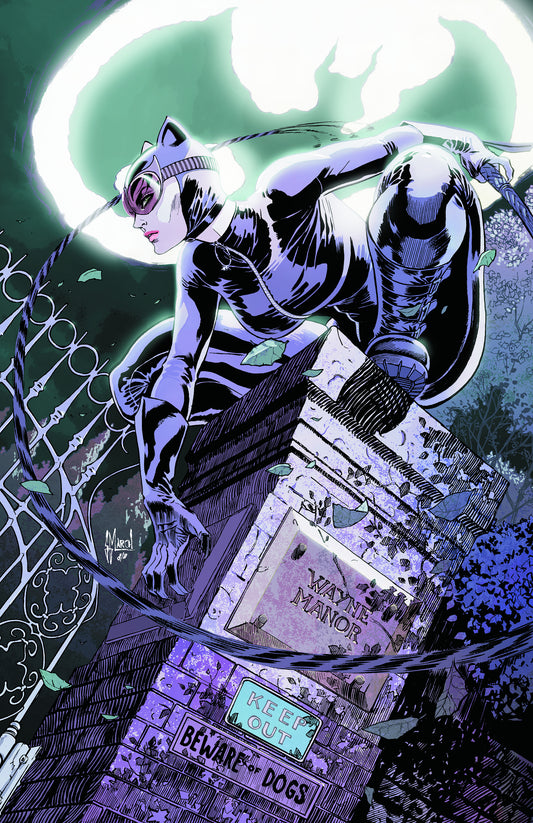 Catwoman #4 (2011)
