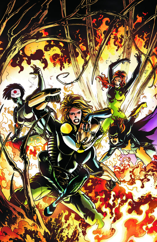 Birds of Prey #8 (2011)