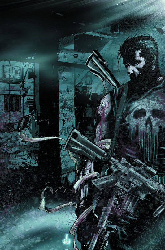 Punisher #12 (2011)