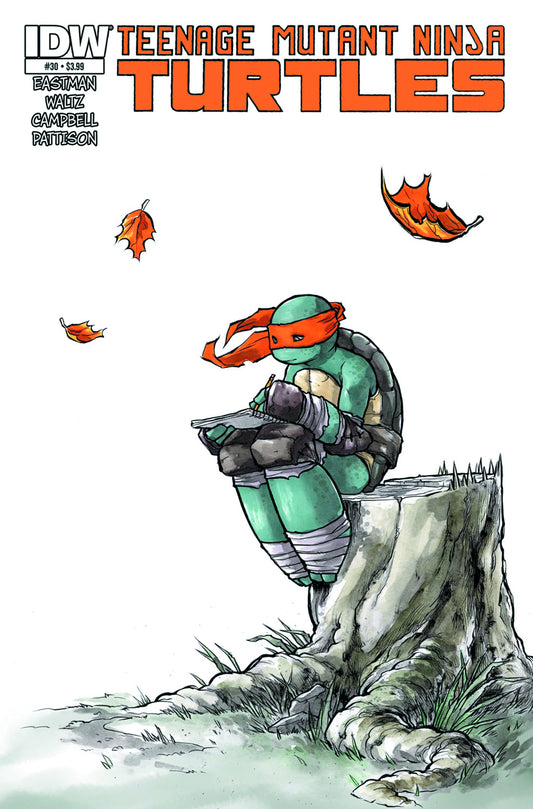 Teenage Mutant Ninja Turtles #30 (2011)
