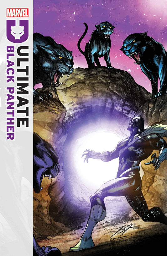 Comic book cover featuring Black Panther and panthers with a purple and pink background